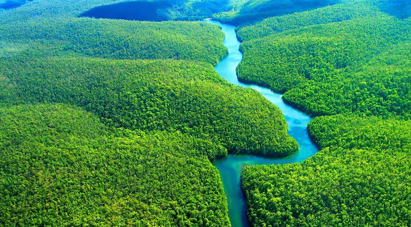 Francisco: O Sínodo é filho da Laudato Si