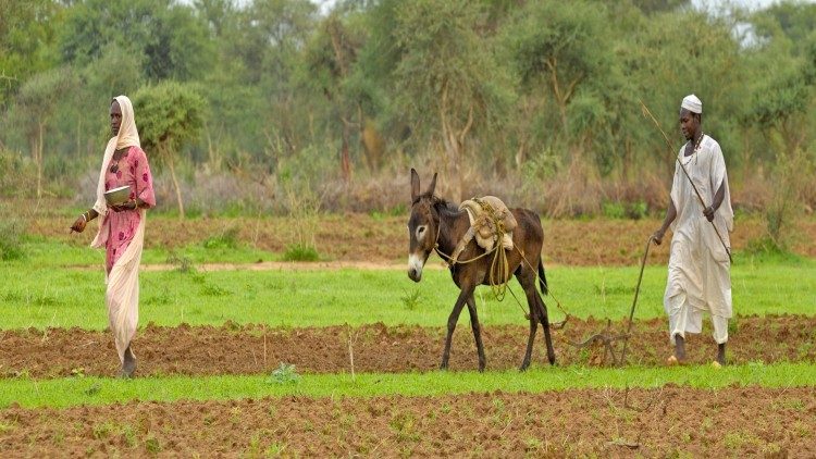 2019.05.25 CONTADINI AFRICA (CARITAS SPAGNA FONTE