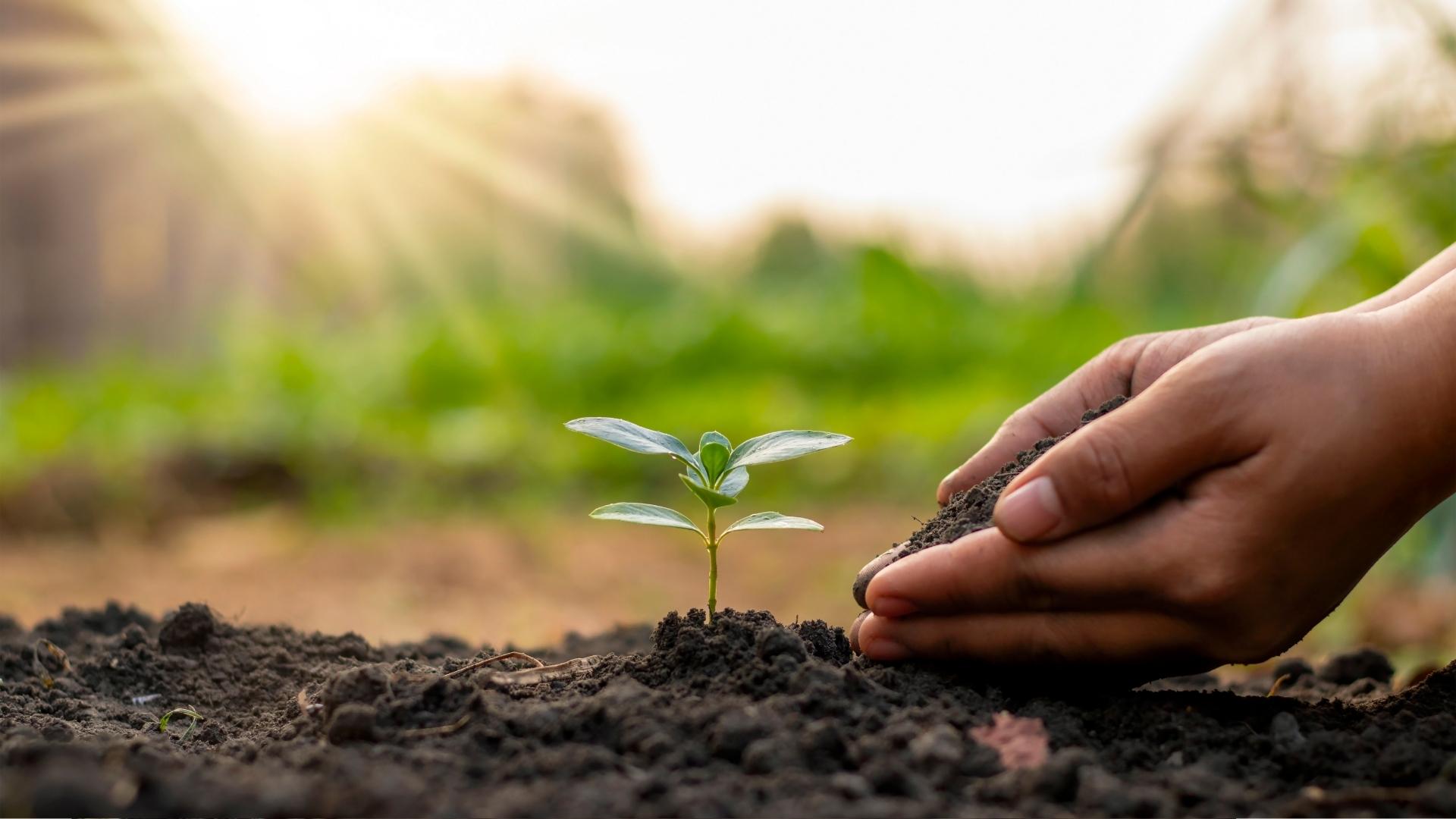 Dívida Ecológica