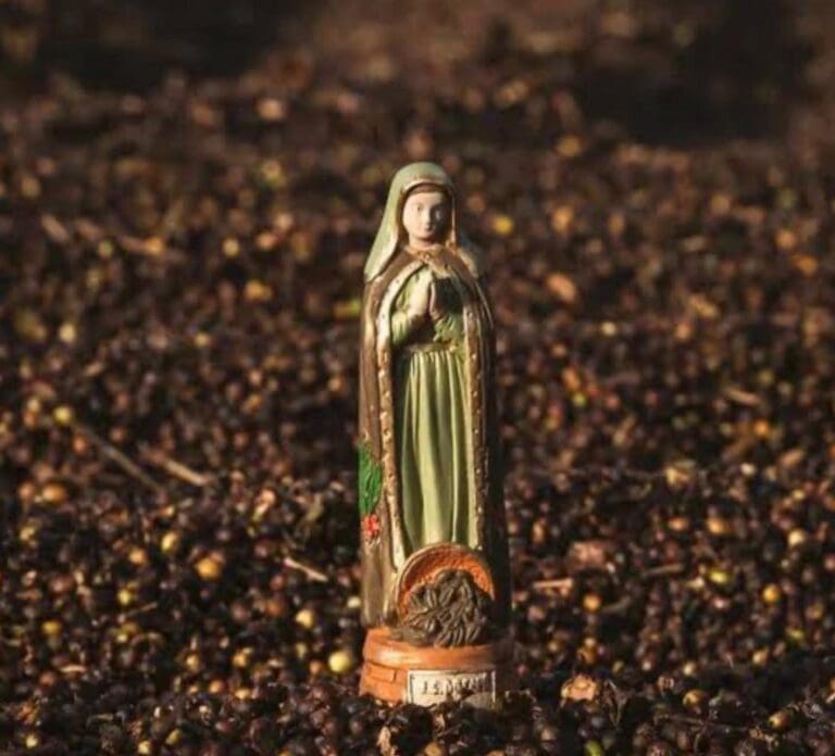 Paróquia de Piaçu realiza a 1ª Festa Religiosa do Café em honra a Nossa Senhora do Café do Brasil
