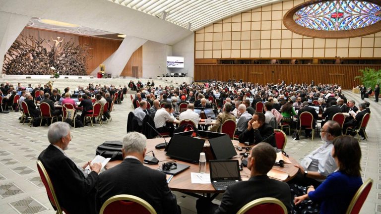A Equipe Nacional de Animação do Sínodo traça ações para a fase de implementação do Sínodo no Brasil