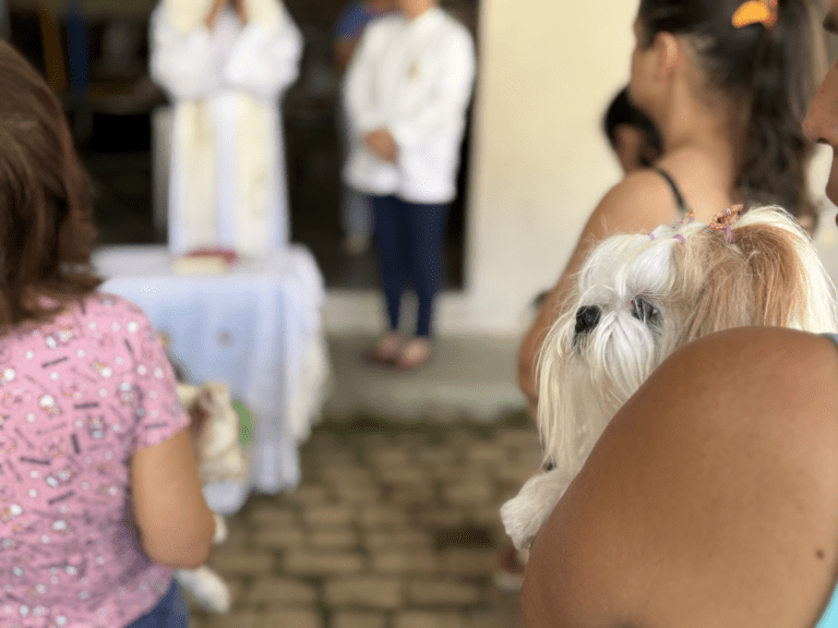 Paróquia Sagrados Corações de Jesus e Maria celebra a tradicional Bênção dos Animais