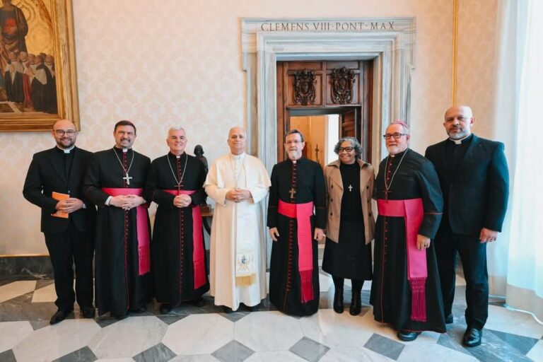 Bispo de Cachoeiro integra comissão da CNBB recebida pelo Papa Leão XIV